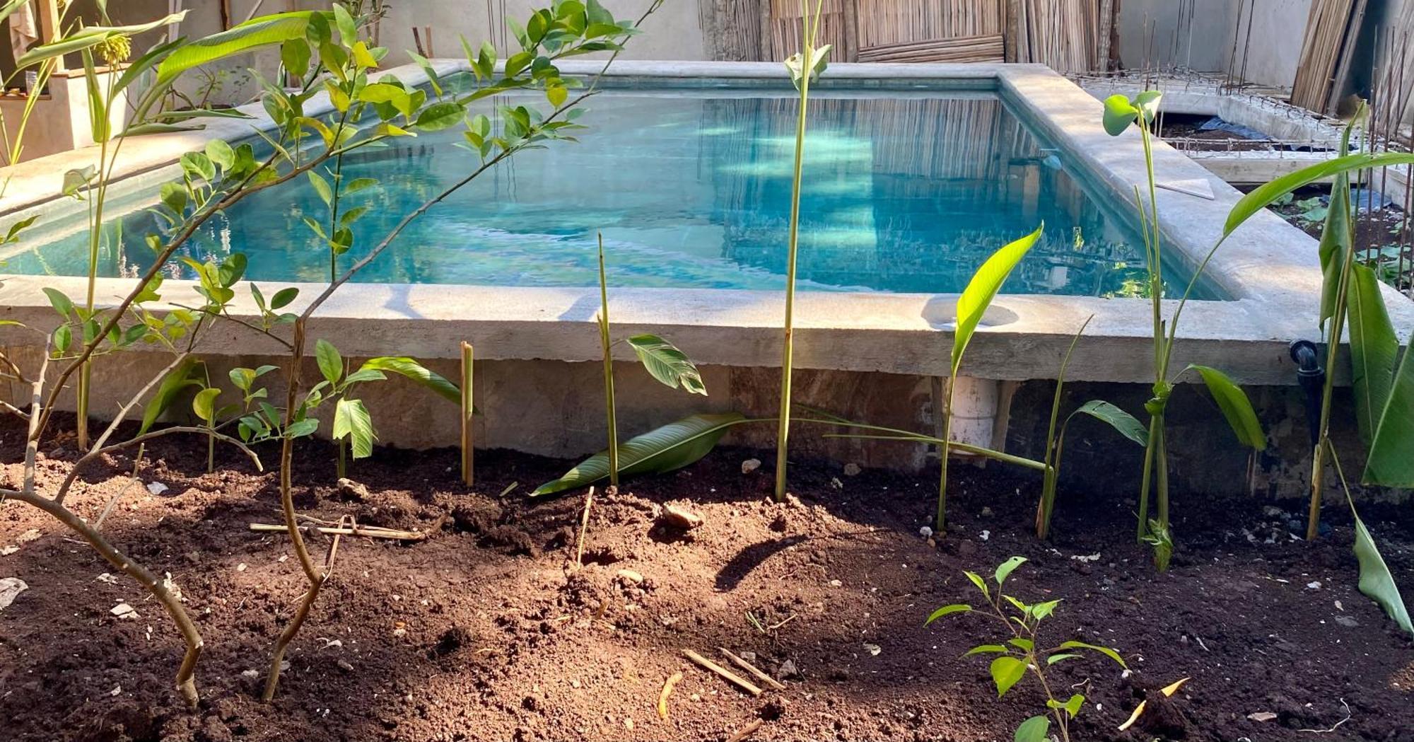 La Perle Rare De Nosy Be Hotel Ambatoloaka  Kültér fotó