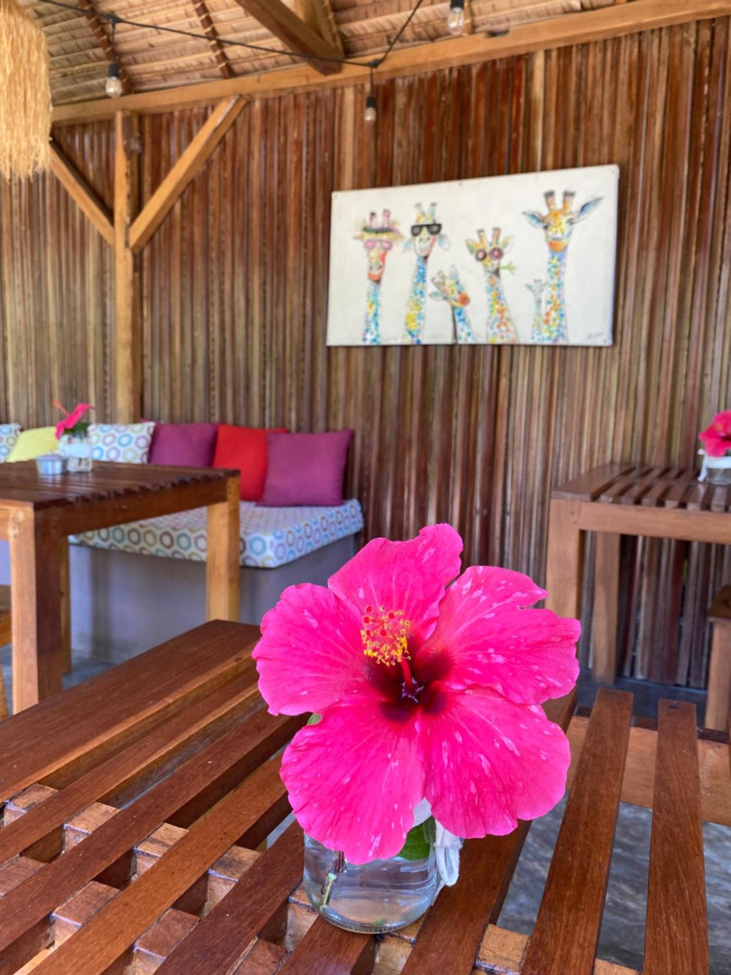 La Perle Rare De Nosy Be Hotel Ambatoloaka  Kültér fotó