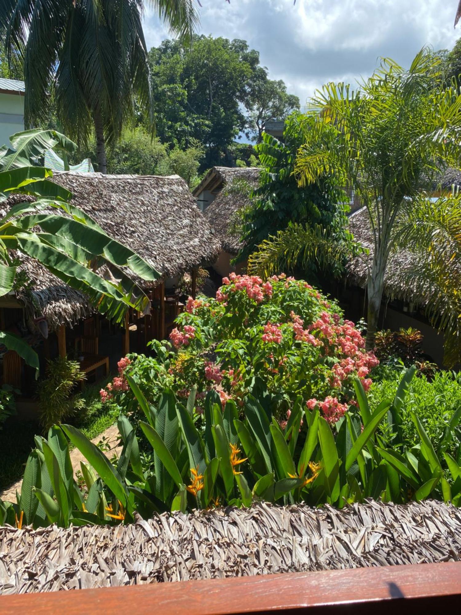 La Perle Rare De Nosy Be Hotel Ambatoloaka  Kültér fotó