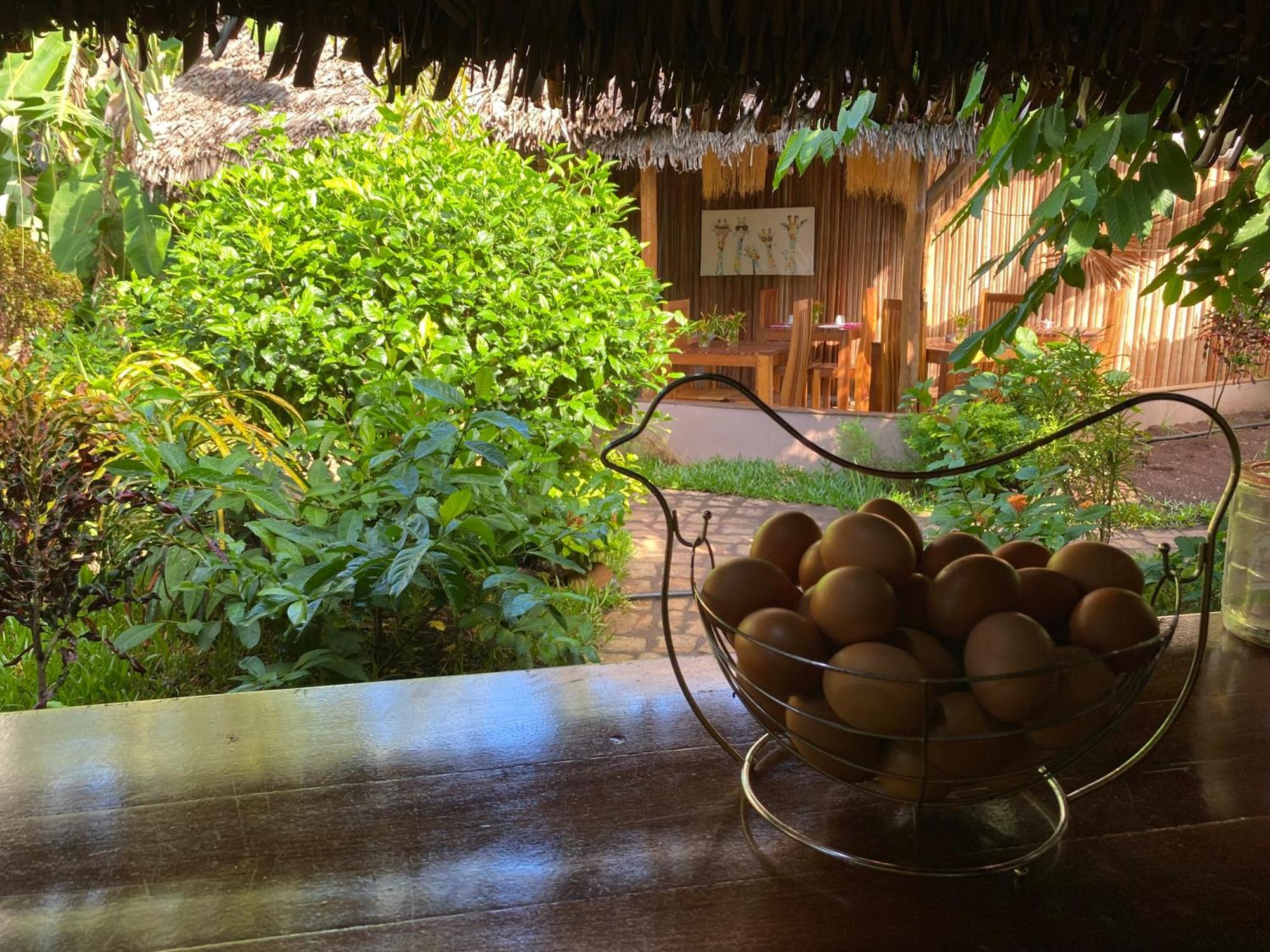 La Perle Rare De Nosy Be Hotel Ambatoloaka  Kültér fotó