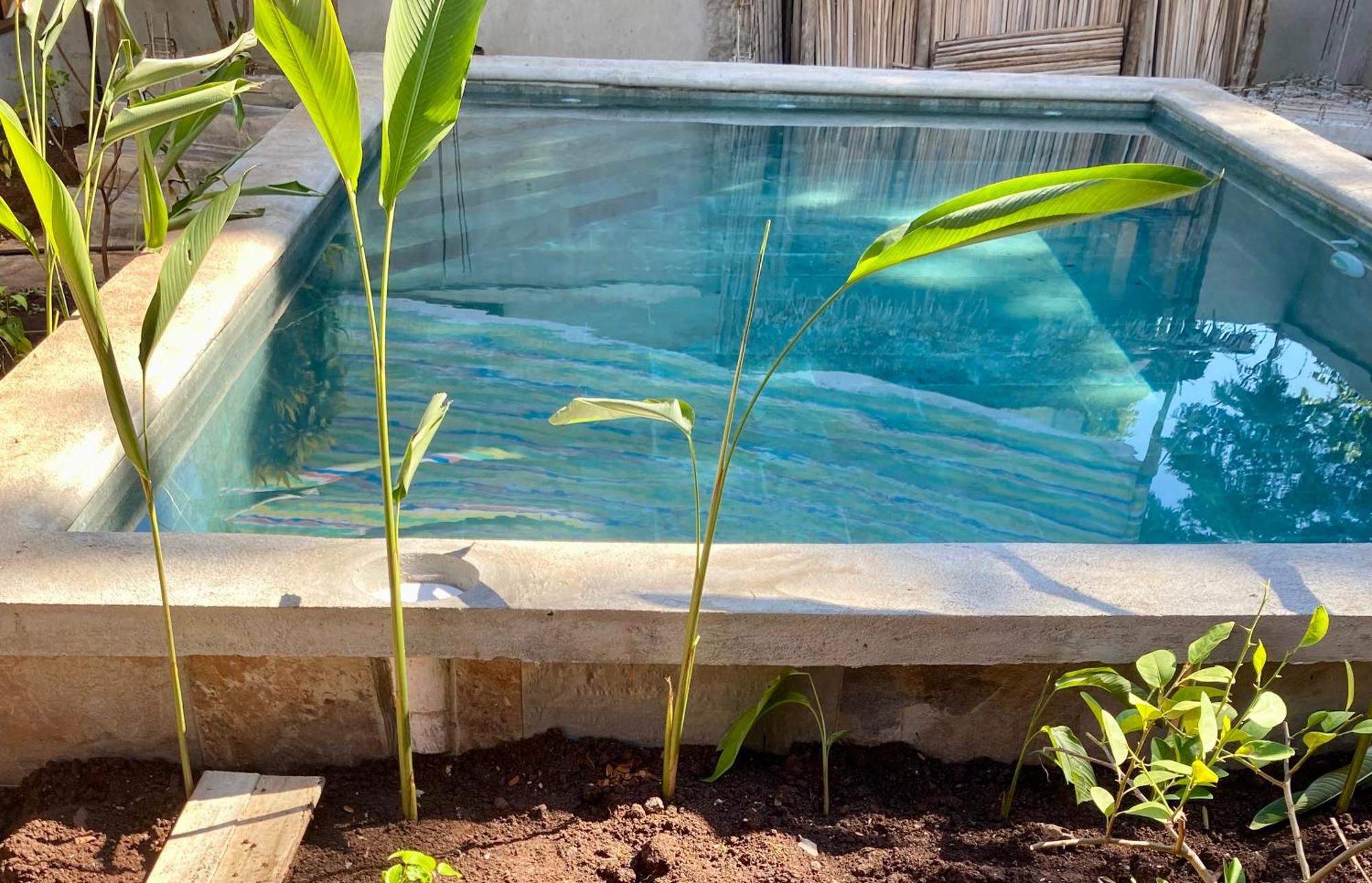 La Perle Rare De Nosy Be Hotel Ambatoloaka  Kültér fotó